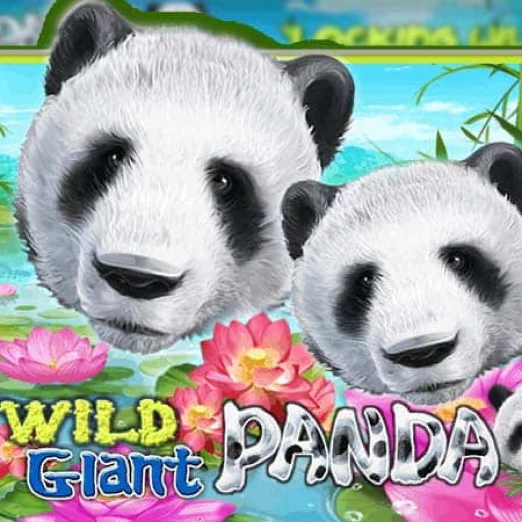 wild Giant Panda slot